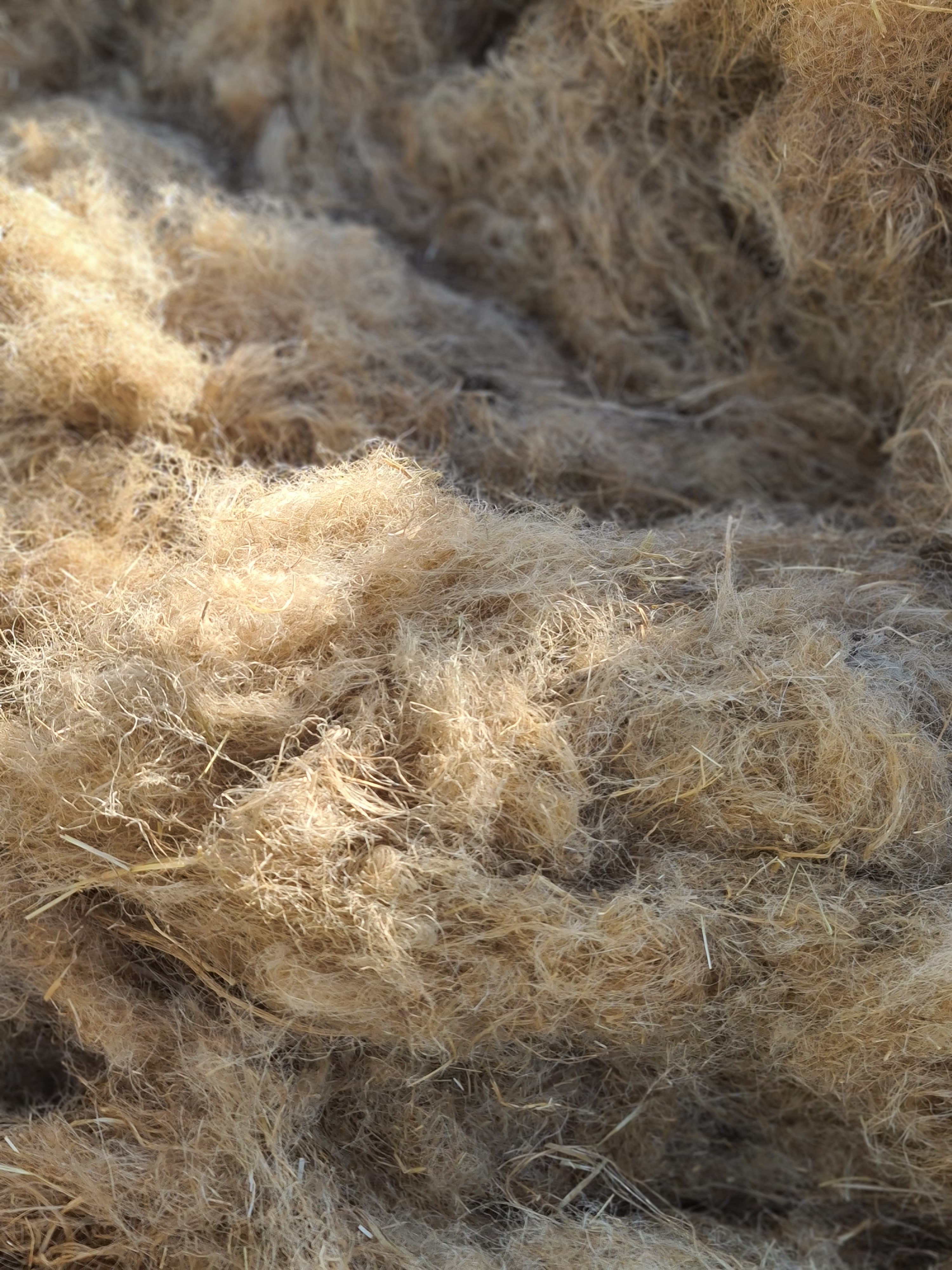 Egyptian flax tow short flax fiber — view 2